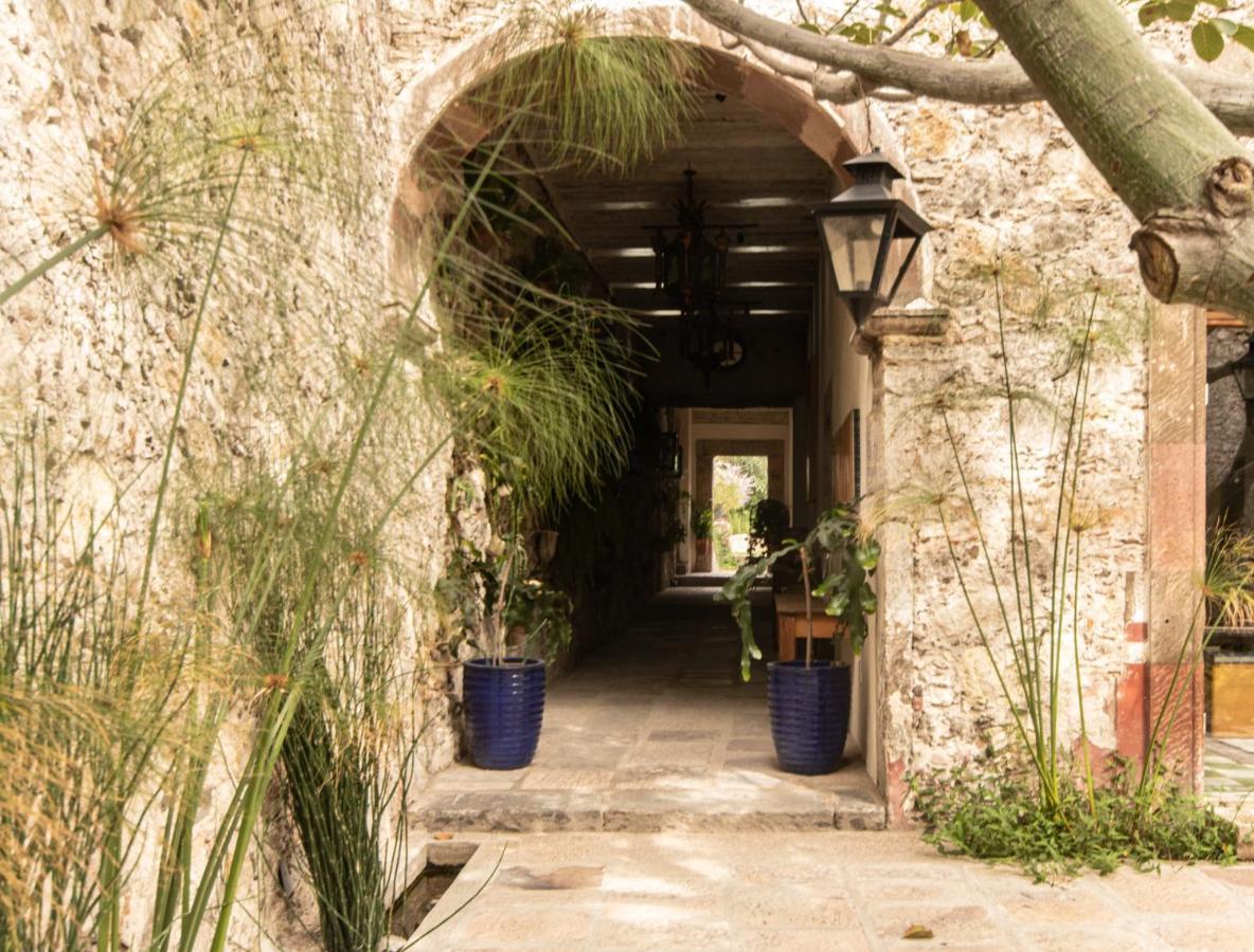 Orchid House San Miguel De Allende Luaran gambar