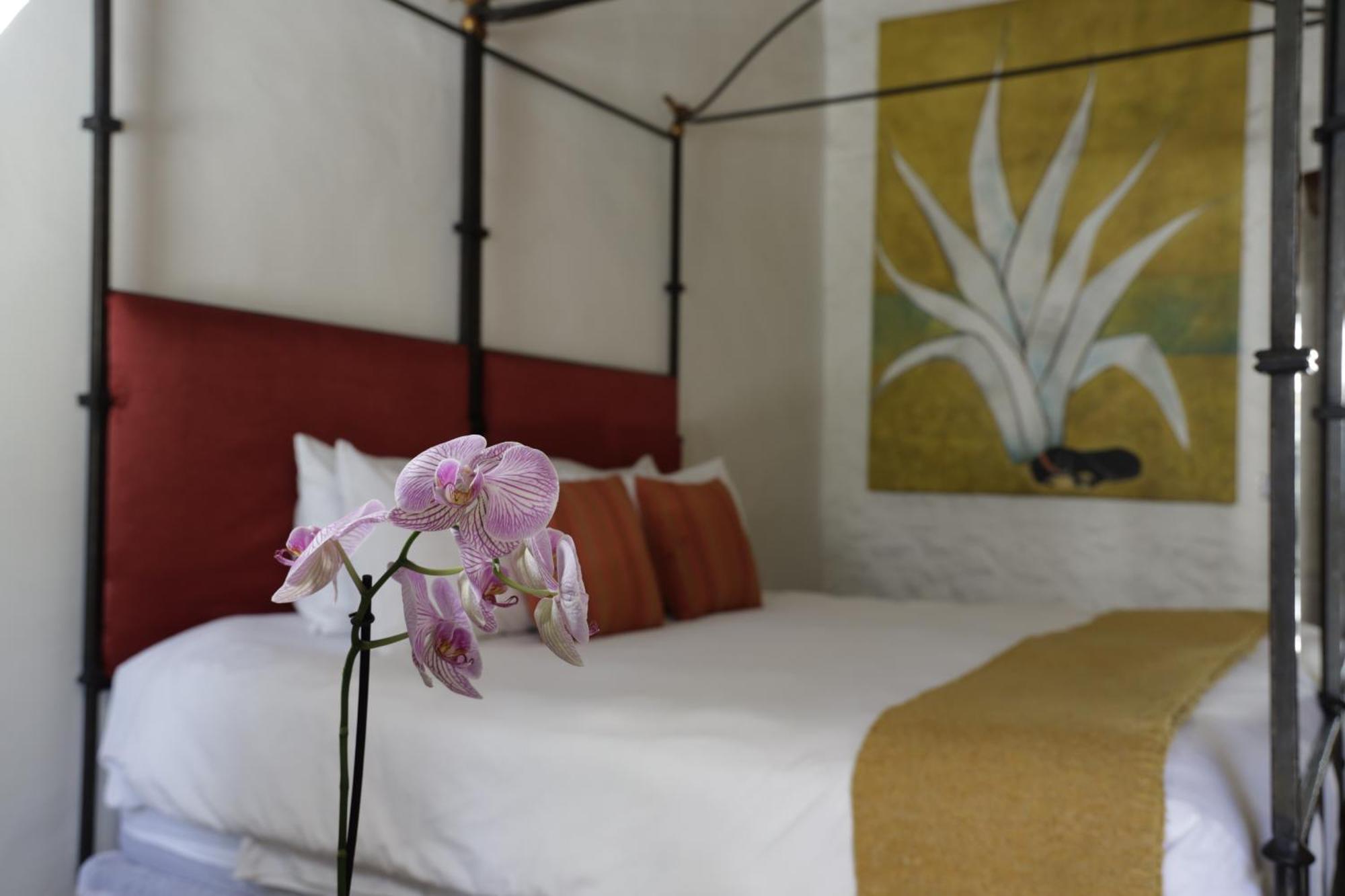 Orchid House San Miguel De Allende Luaran gambar