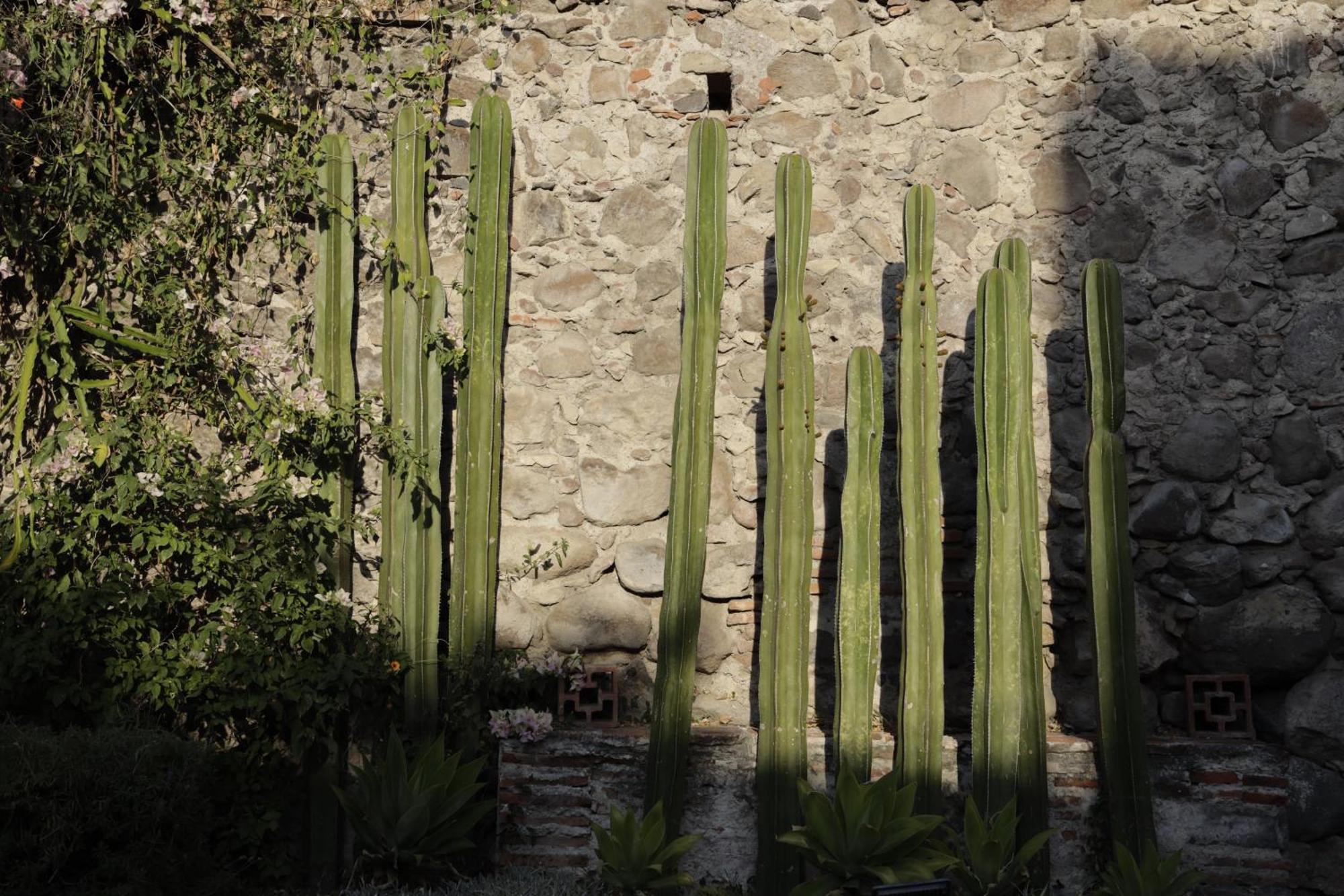 Orchid House San Miguel De Allende Luaran gambar