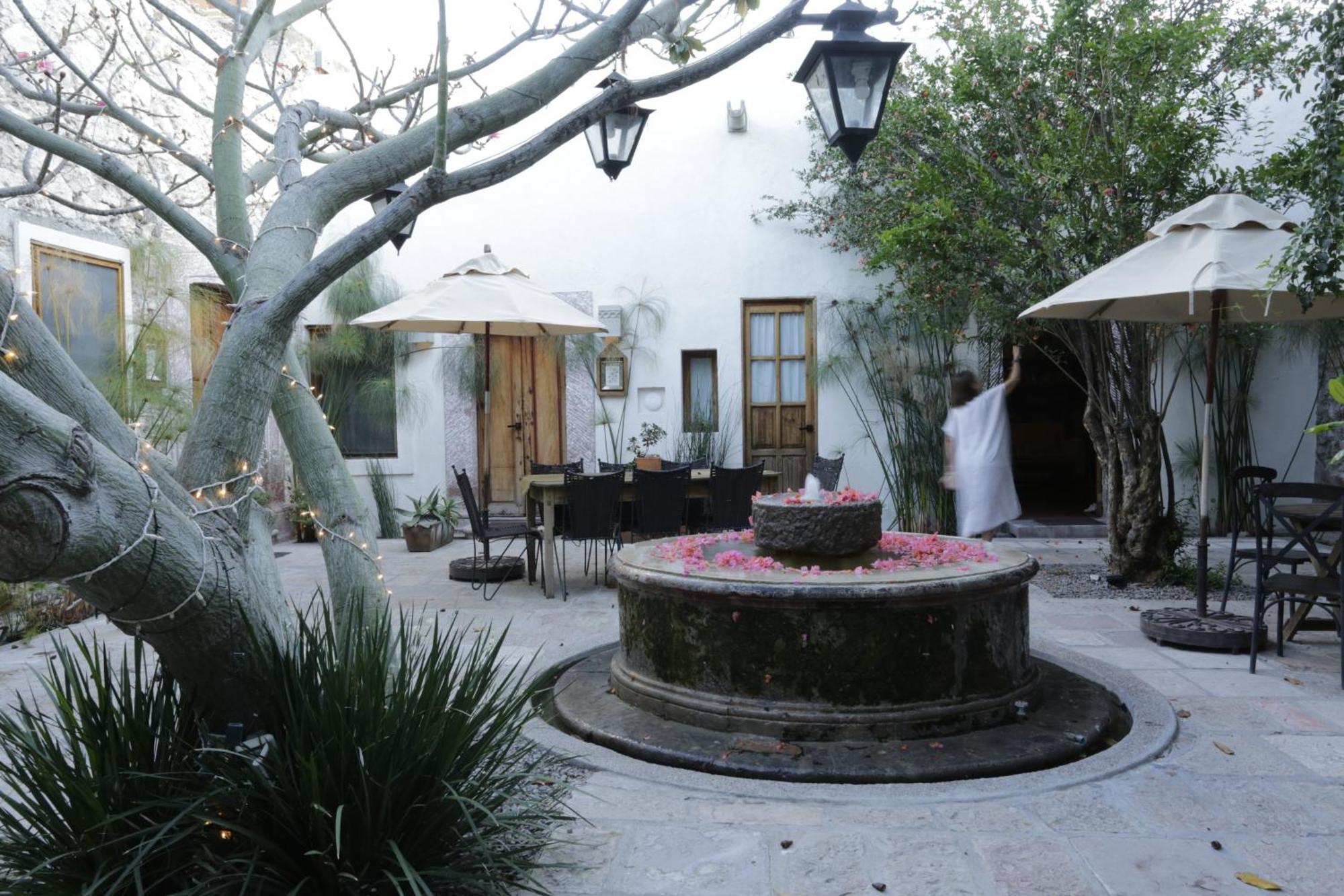 Orchid House San Miguel De Allende Luaran gambar